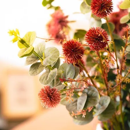 Camoes By Atlantic *