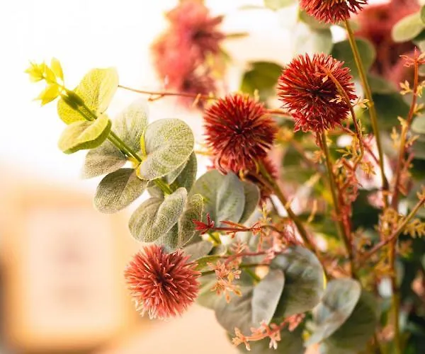 Camoes By Atlantic *